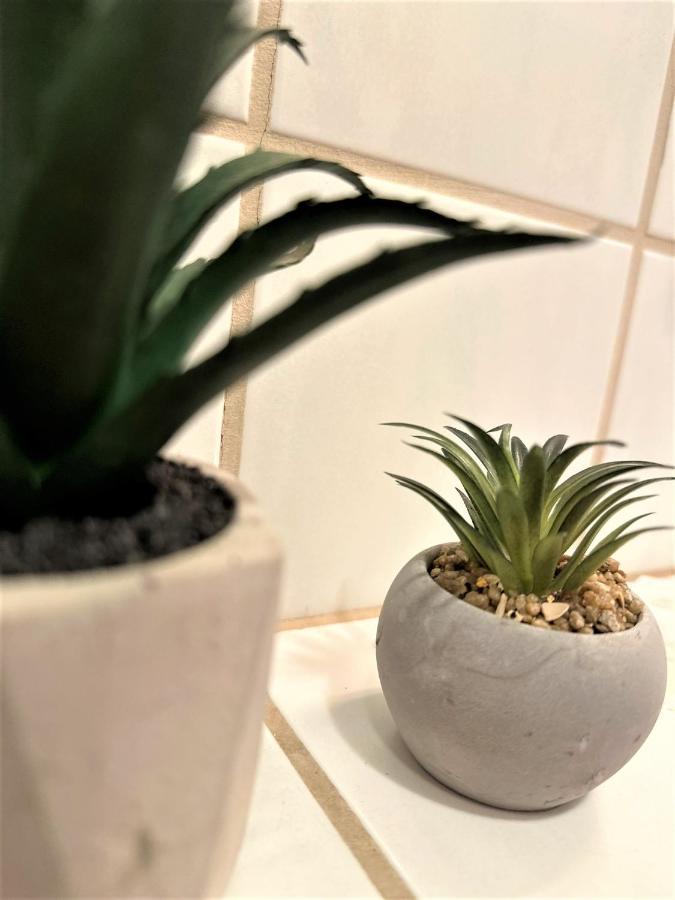 Cozy Apartment In Bavarian Forest +Pool +Sauna +Netflix Zwiesel Eksteriør billede