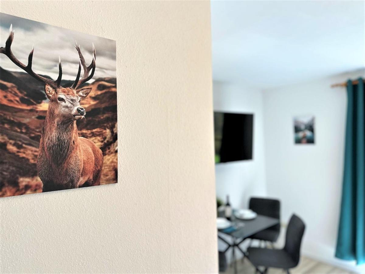 Cozy Apartment In Bavarian Forest +Pool +Sauna +Netflix Zwiesel Eksteriør billede