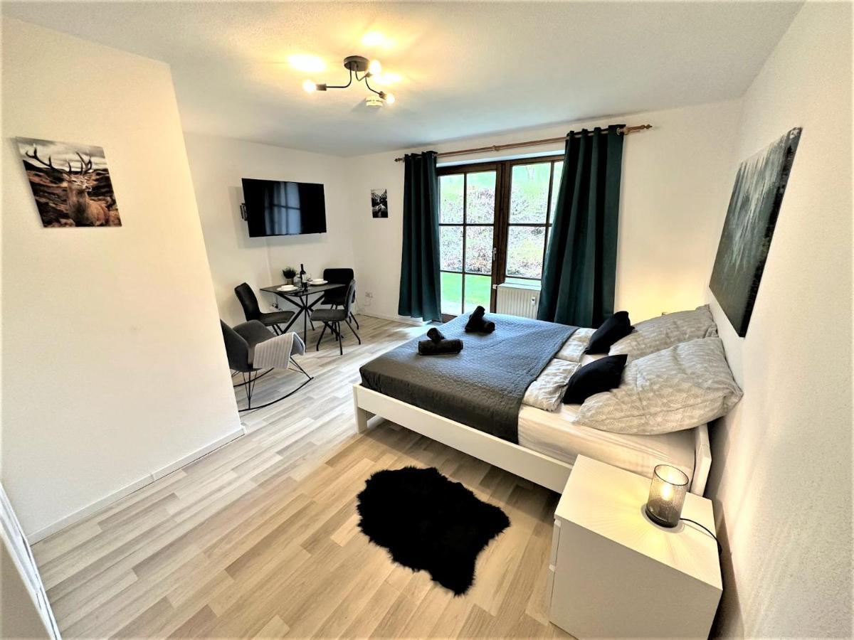 Cozy Apartment In Bavarian Forest +Pool +Sauna +Netflix Zwiesel Eksteriør billede